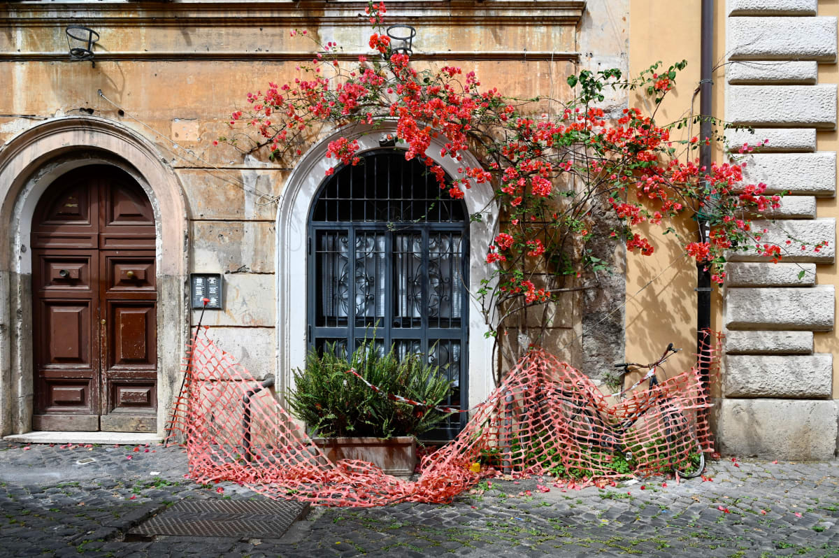 Determinate by Louise O  Image: Travestere
Rome