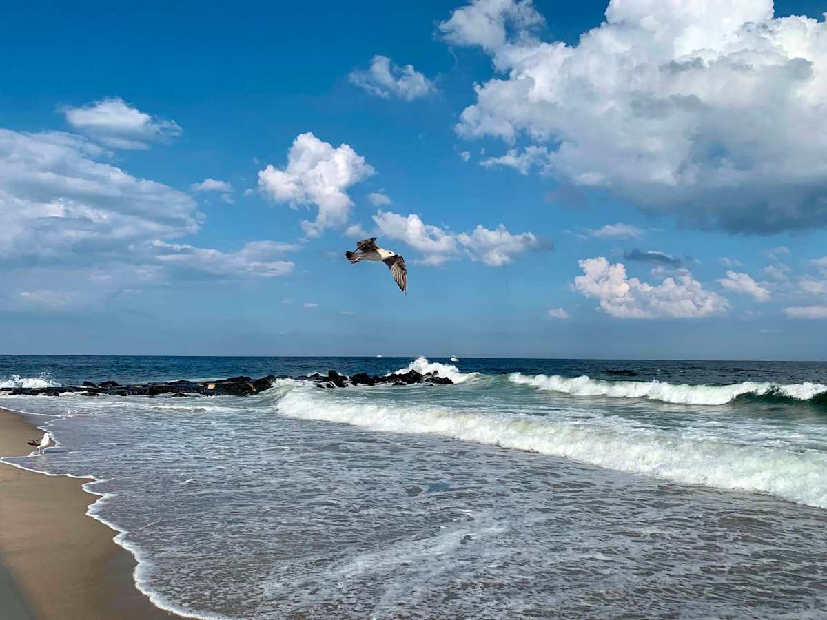 FreeFlight by Louise O, Image 1.