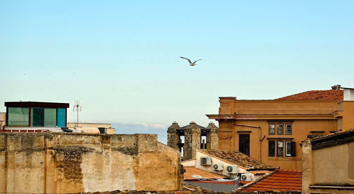 Flyer by Louise O  Image: Palermo 