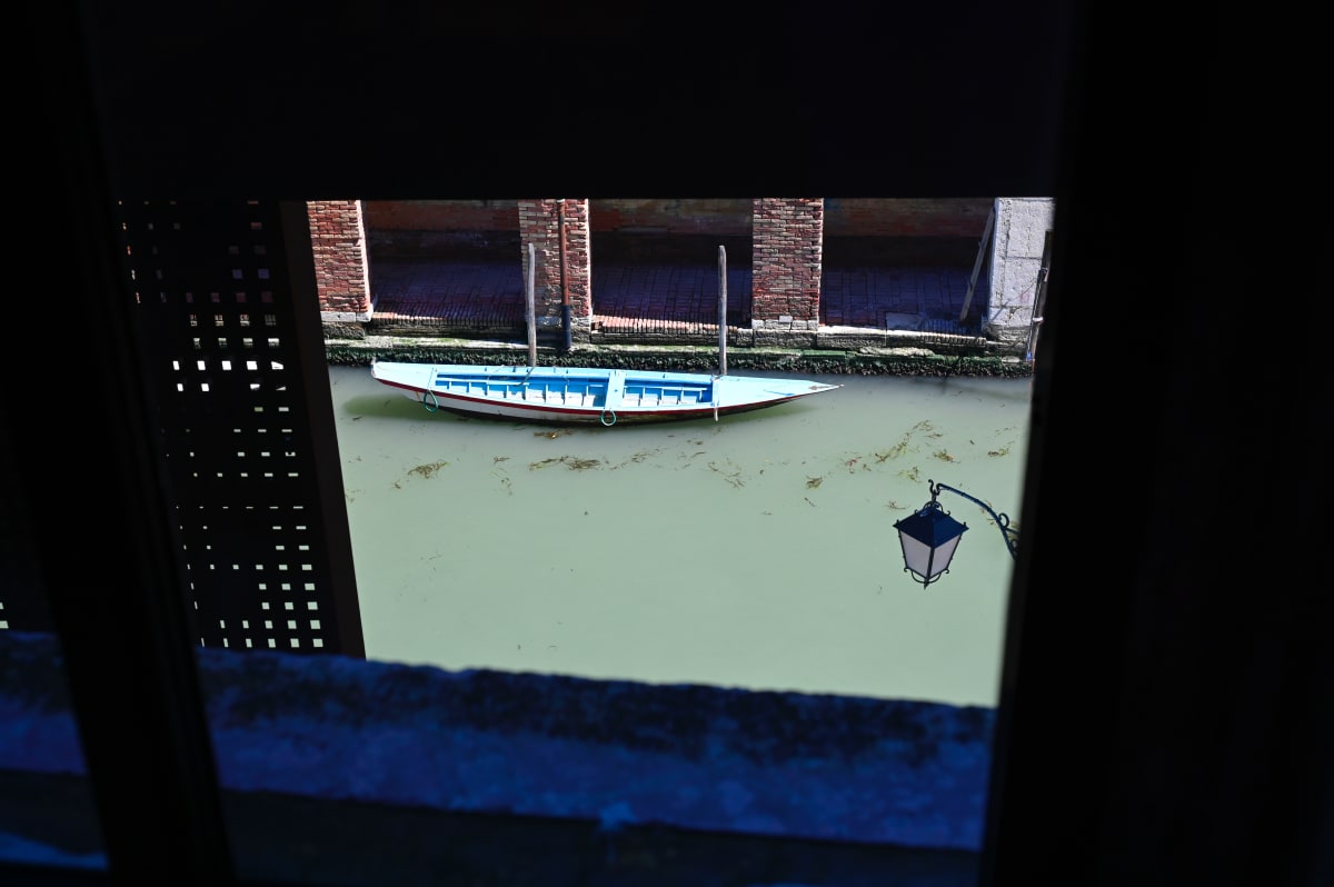 Cut To The Chase by Louise O  Image: Venezia 