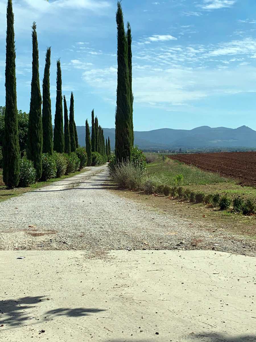 Side Show by Louise O  Image: Tuscany 
Bolgherie