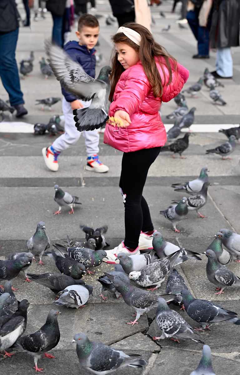 Feeder by Louise O  Image: Milano 