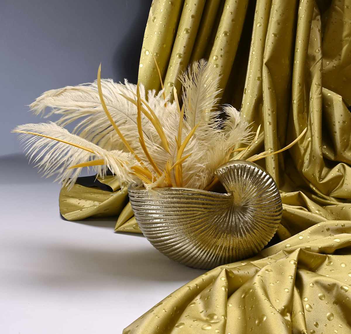 Nautilus by Louise O, Image 1.