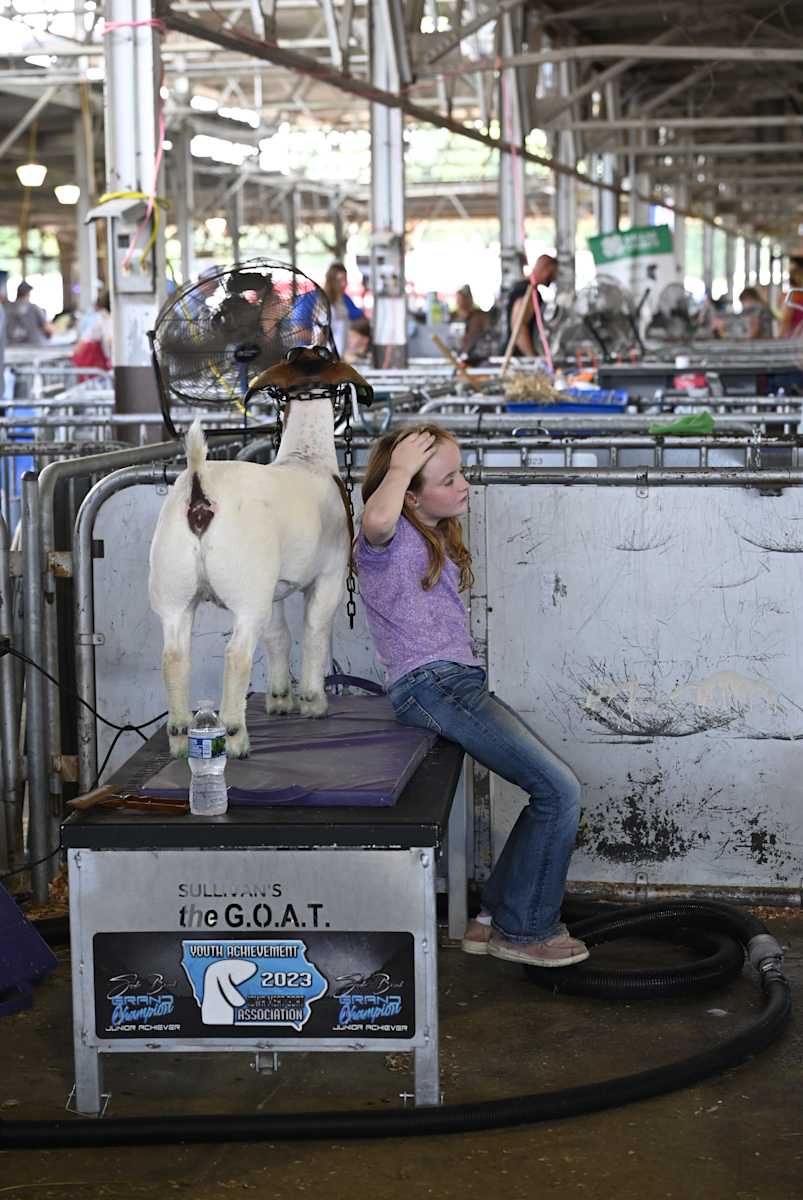Fair by Louise O 