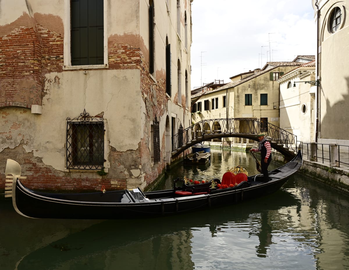 Cornered by Louise O  Image: Venezia