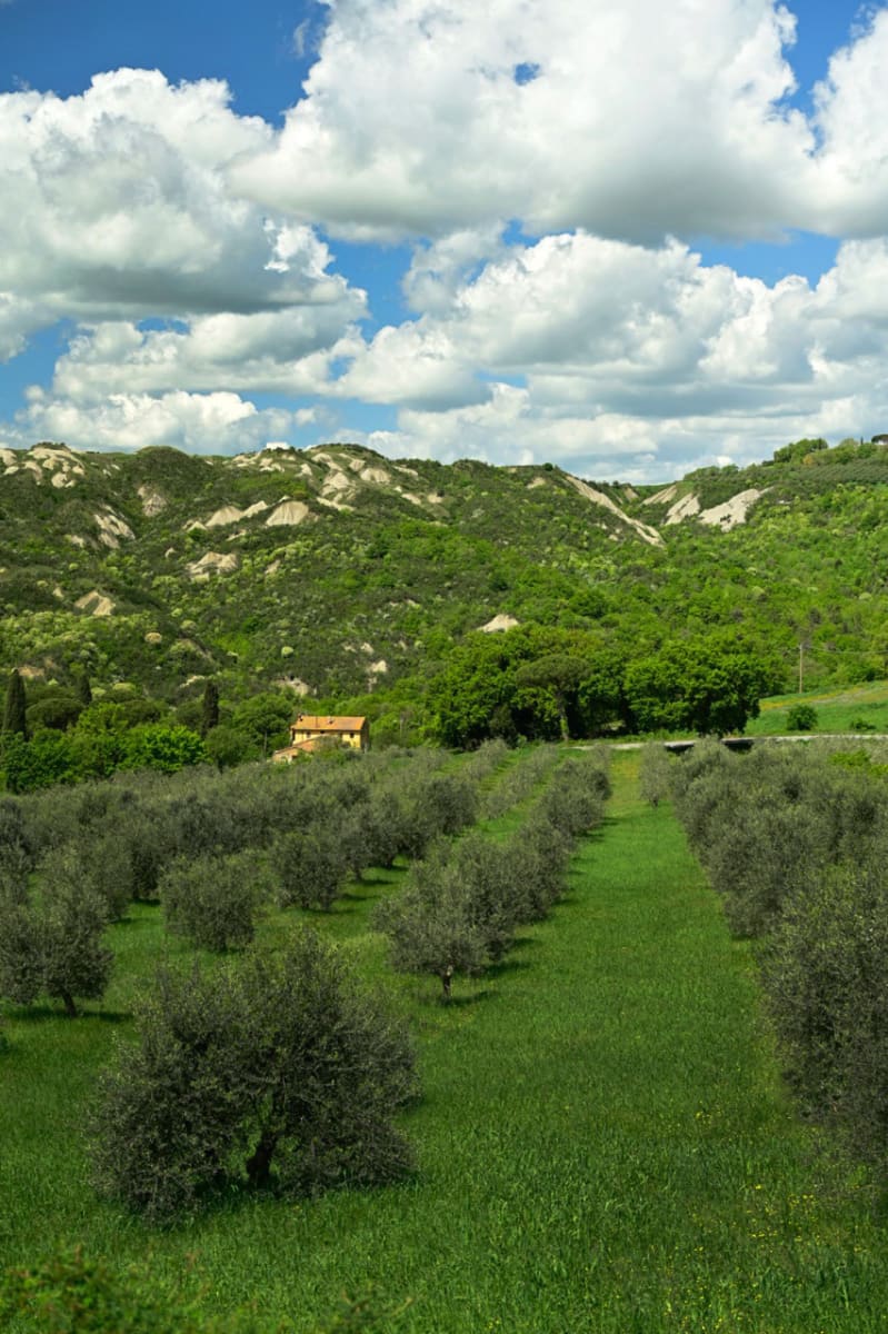 Senese Home by Louise O  Image: Tuscany 
Crete Senese 
