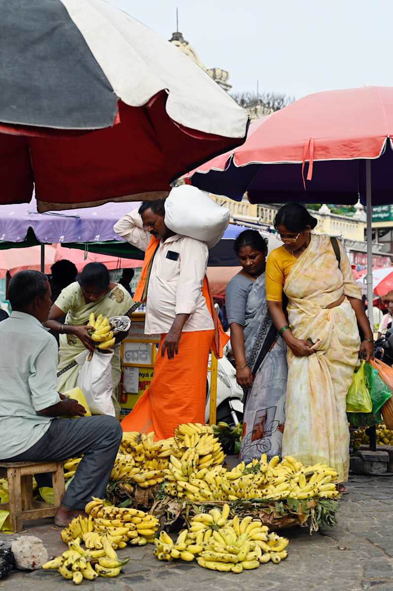 Vendorloo by Louise O  Image: Mysore India 