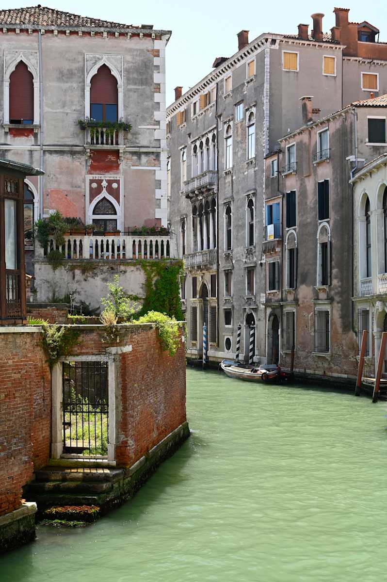 OldLine Venezia by Louise O  Image: Venezia