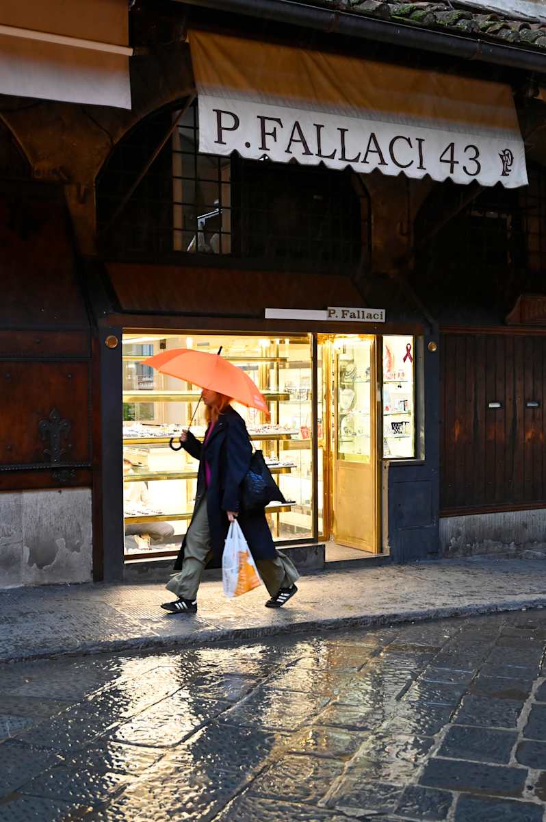 Fallacy by Louise O  Image: Ponte Vecchio
Firenze 