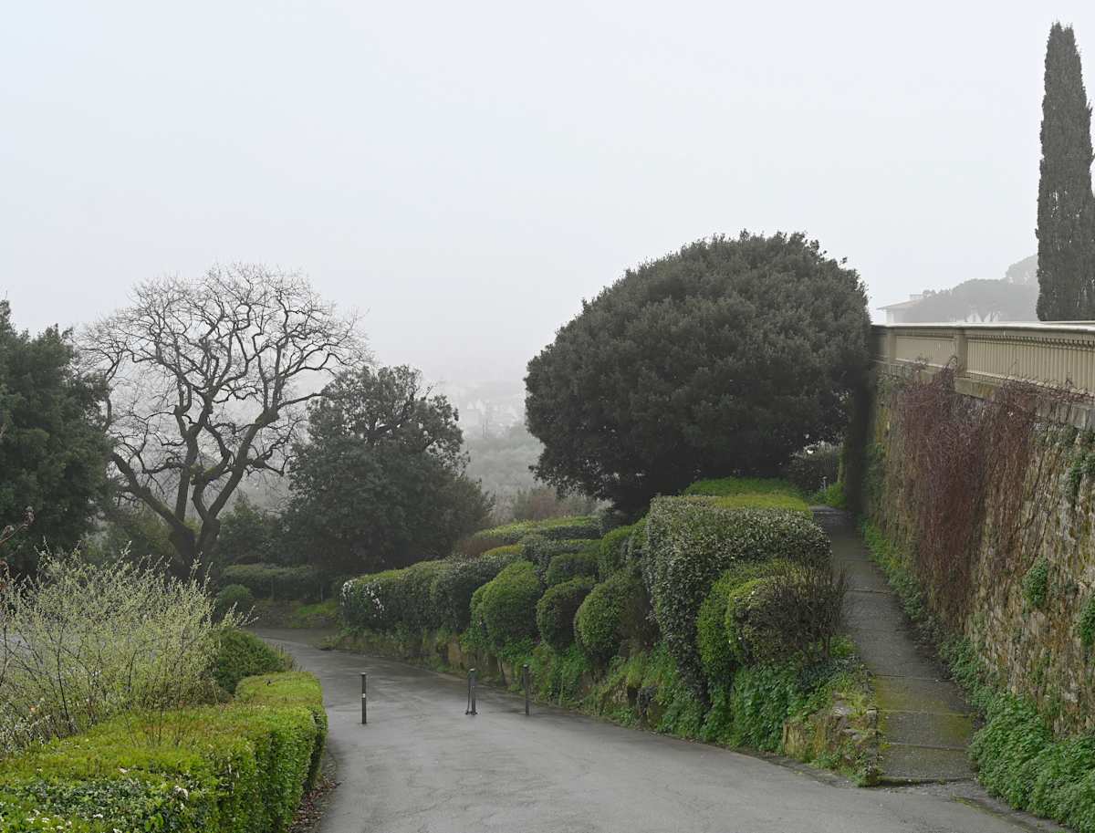 Pathways by Louise O, Image 1.