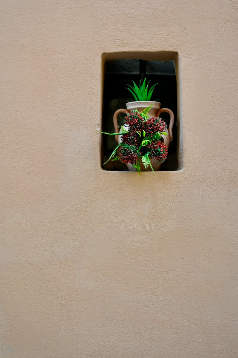 Piante by Louise O, Image 2.