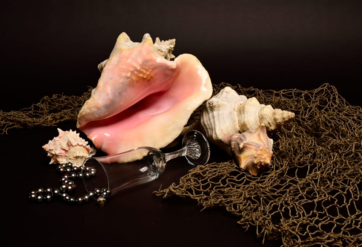 Sea Influence by Louise Olko, Image 1.