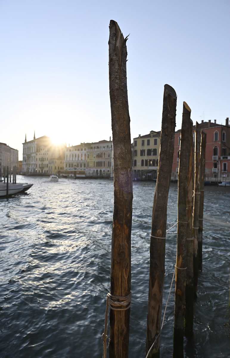 Dusk by Louise O  Image: Venezia 
Grand Canal 