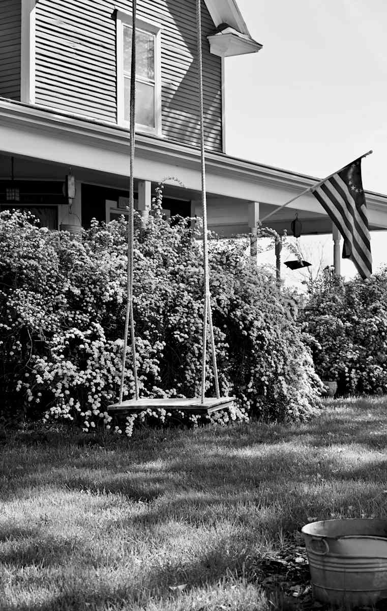 SwingState by Louise O, Image 2.