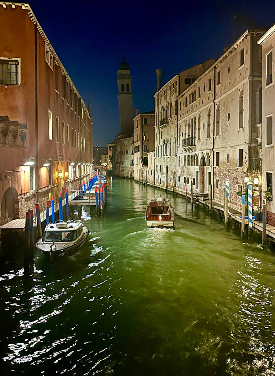 Night Vision by Louise O  Image: Venezia Canal