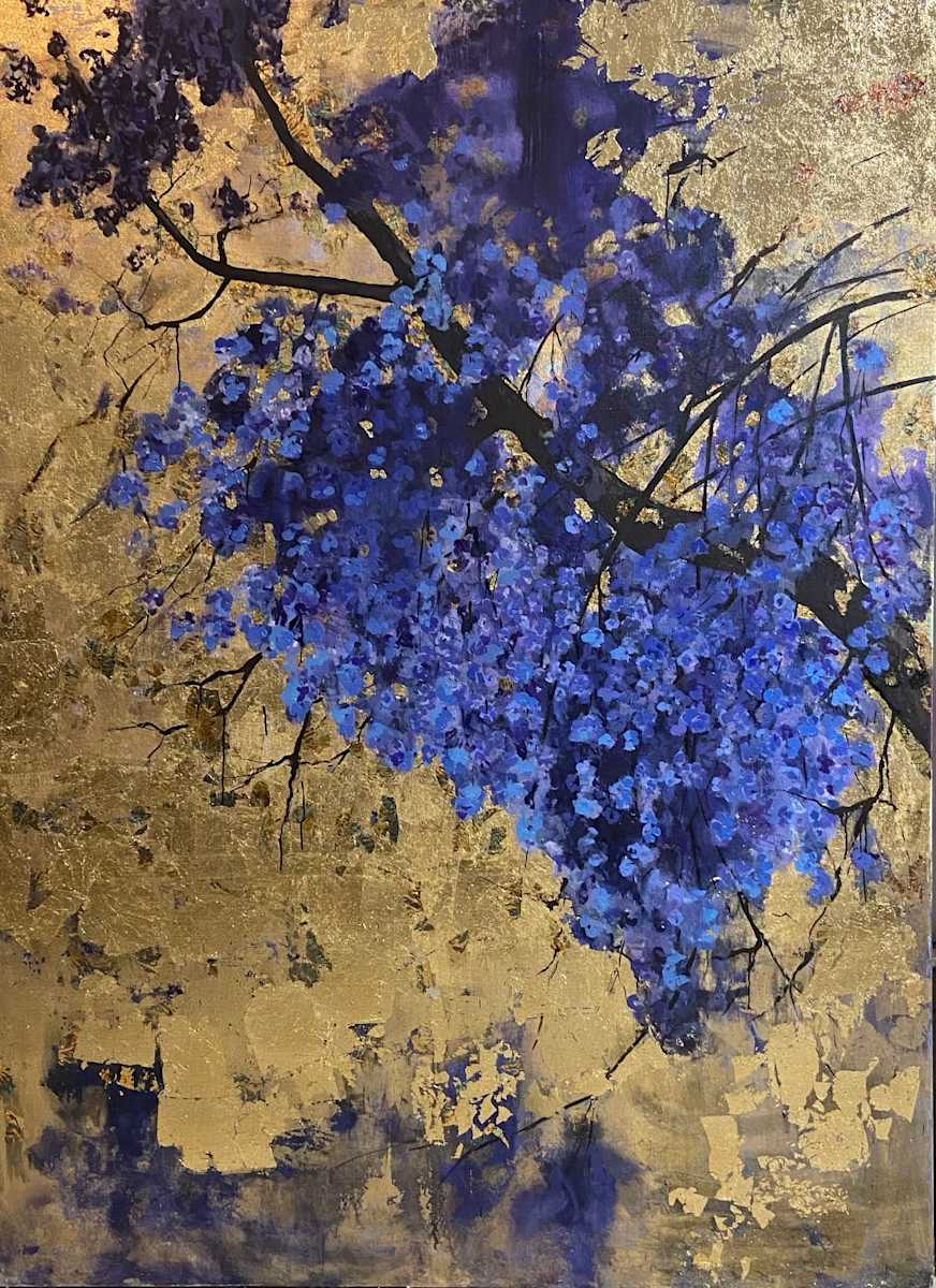 jacaranda by gaby roter  Image: jacaranda- the beauty of nature