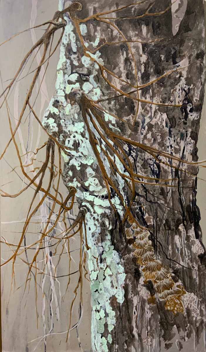 willow by gaby roter 