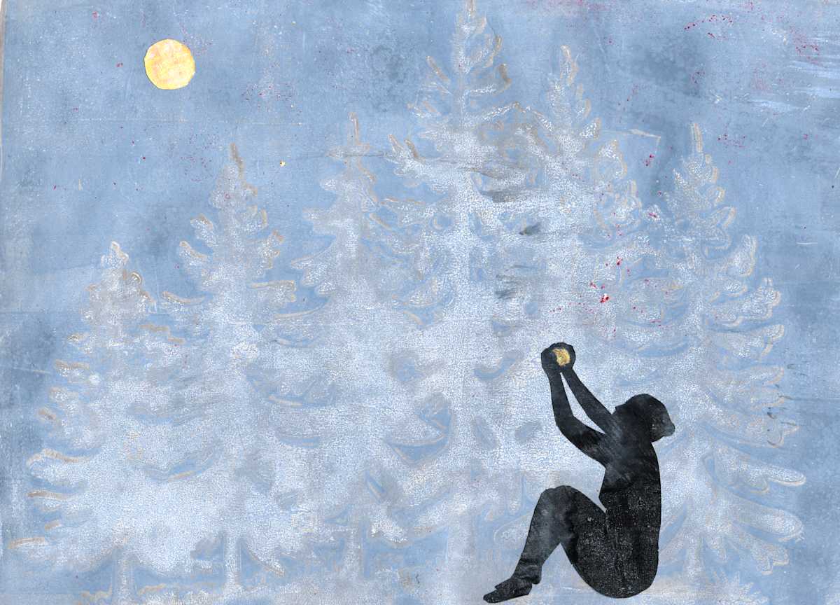Under a Shared Light by Carla Taylor, Image 1.