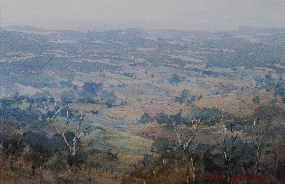 Pokolbin Morning by Josefia LEMON  Image: Josefia Lemon, Pokolbin Morning, Singleton Civic Art Collection