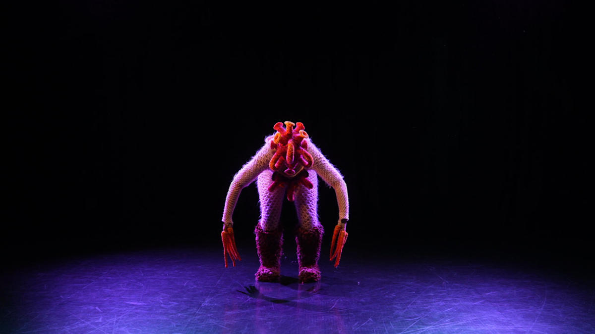 Timmy by Louisa MAGRICS, Niki SCHILD  Image: Louisa Magrics and Niki Schild, Timmy, Singleton Civic Art Collection, Video Still