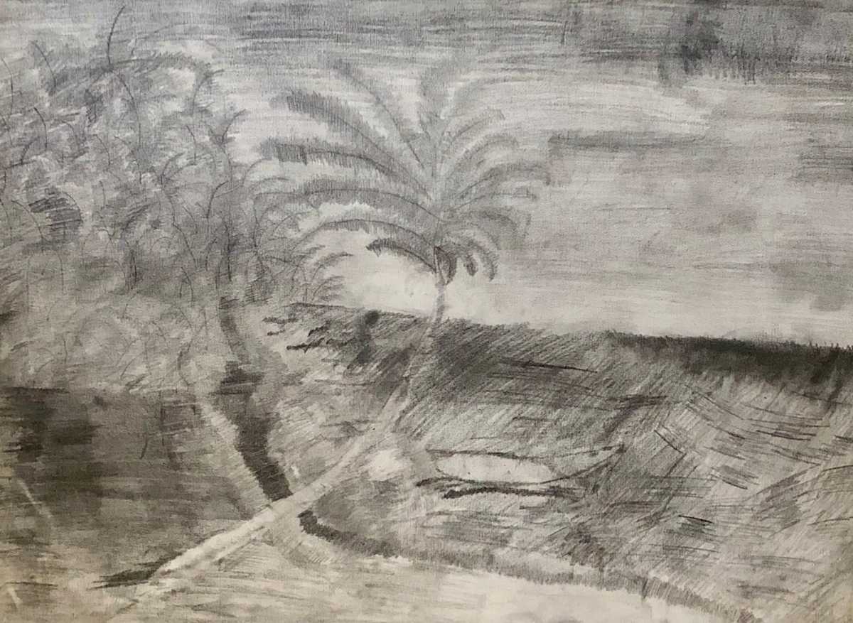 Honolulu Dream by Skyler Solondz 