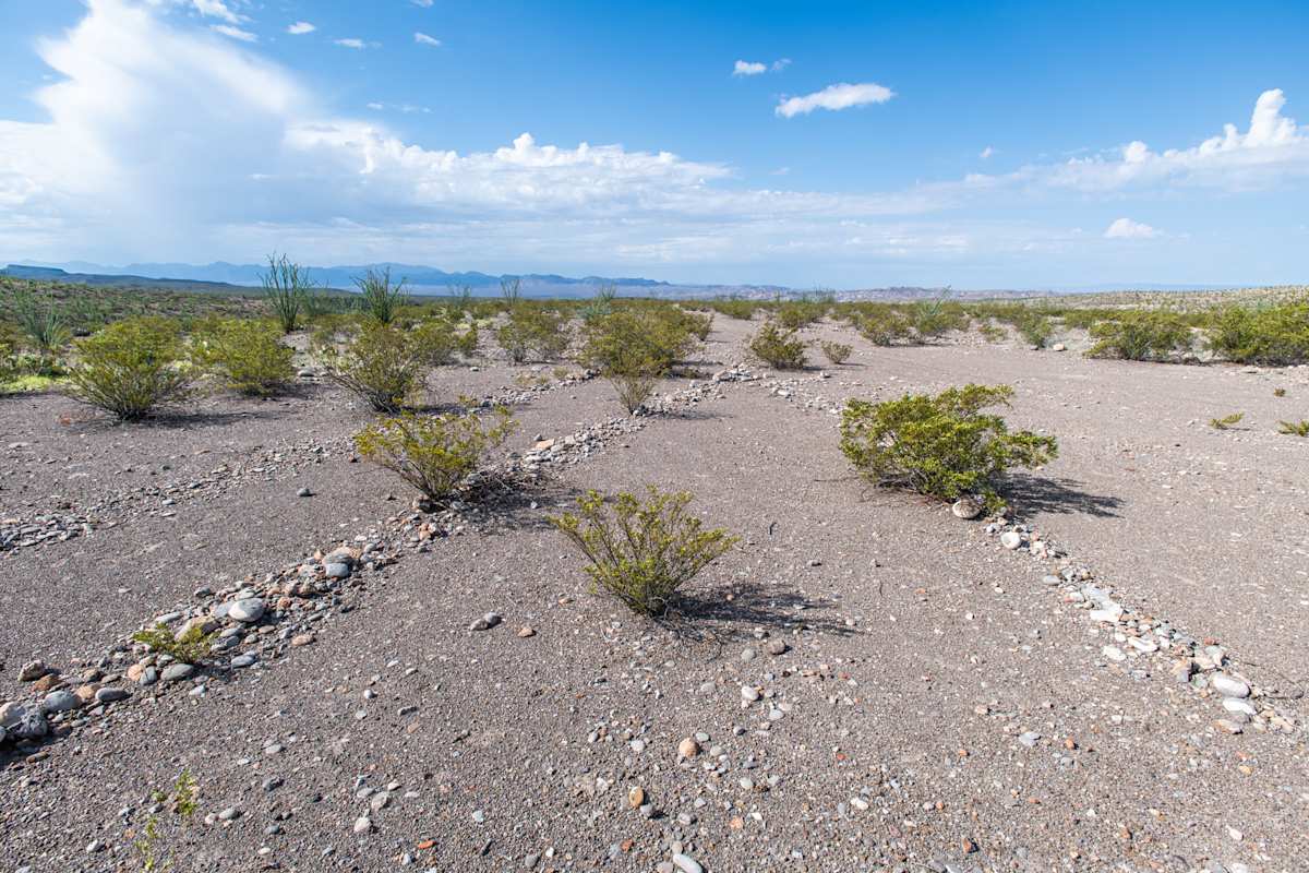 Desert Rocks by Billy Moore, Image 1.