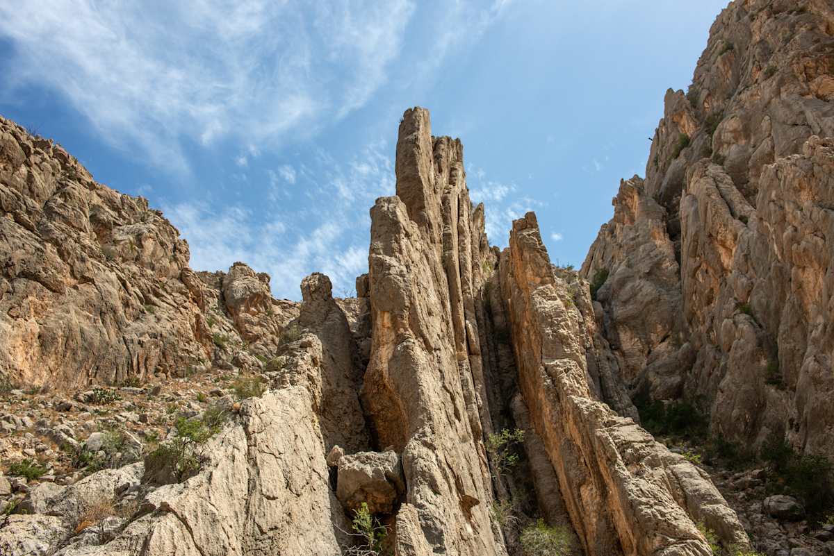 Dog Canyon by Billy Moore 
