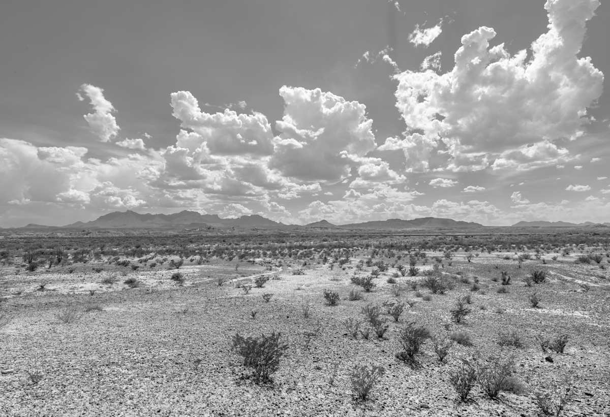 Desert View by Billy Moore 