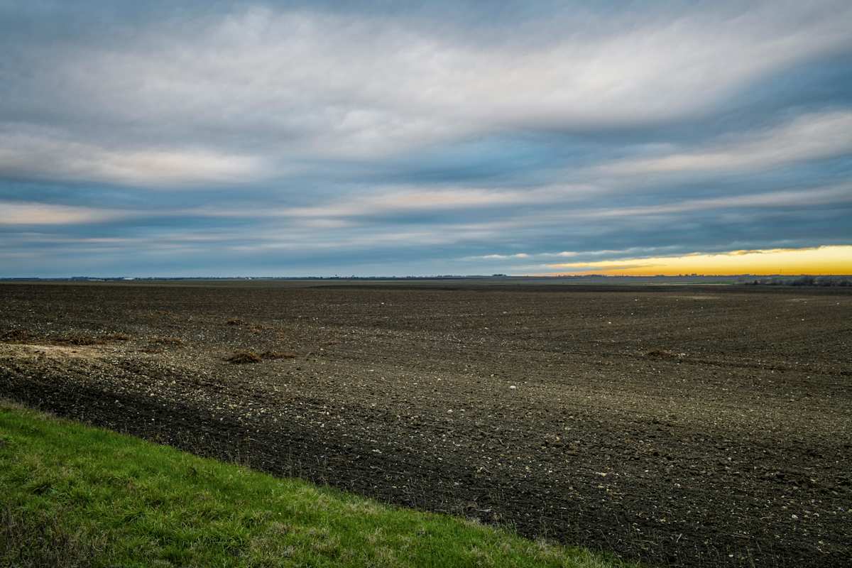 Untitled, Blackland Prairies by Billy Moore, Image 8.