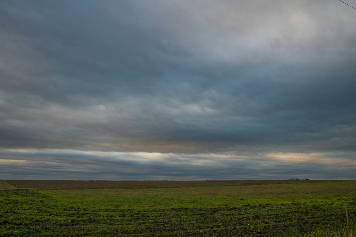 Untitled, Blackland Prairies by Billy Moore 