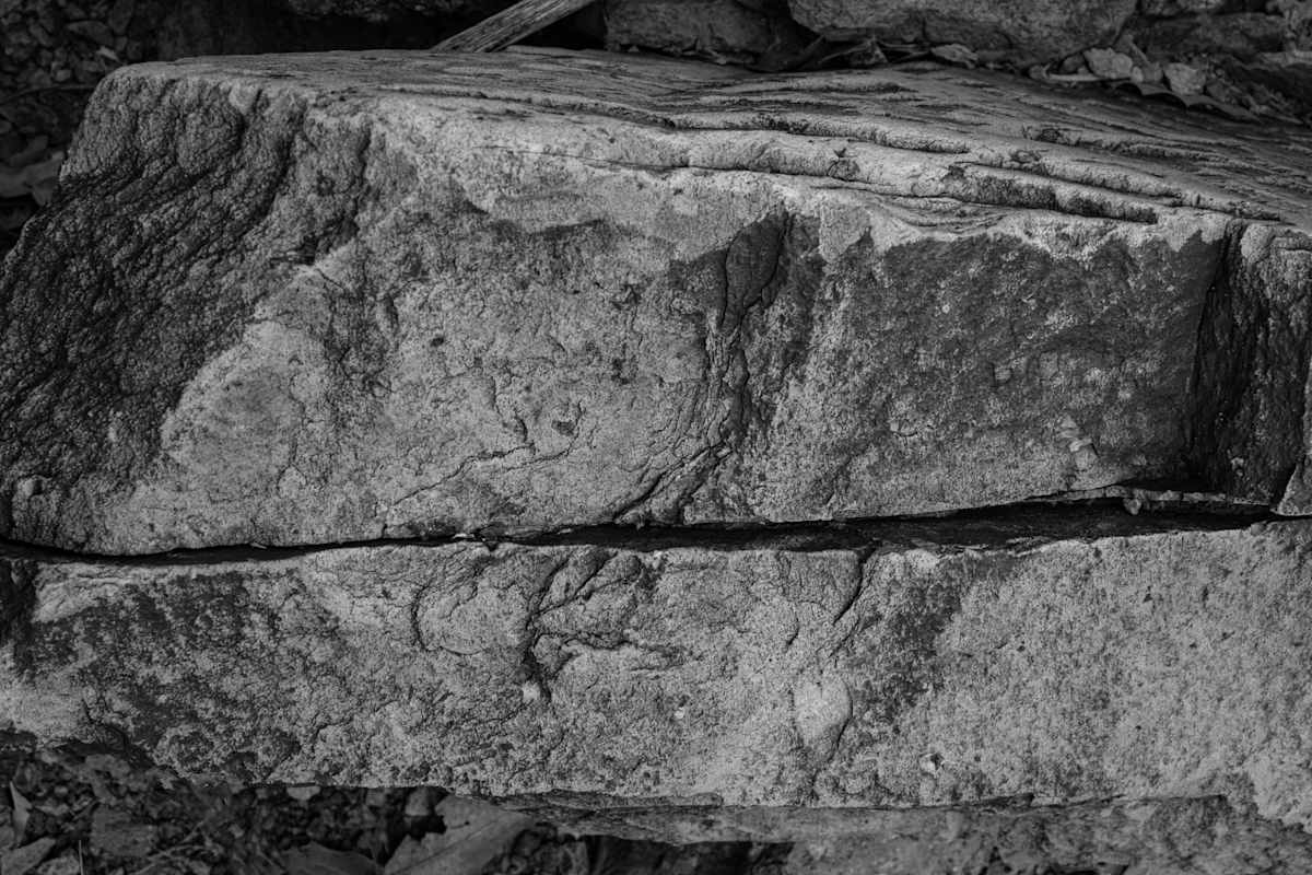 Untitled by Billy Moore 