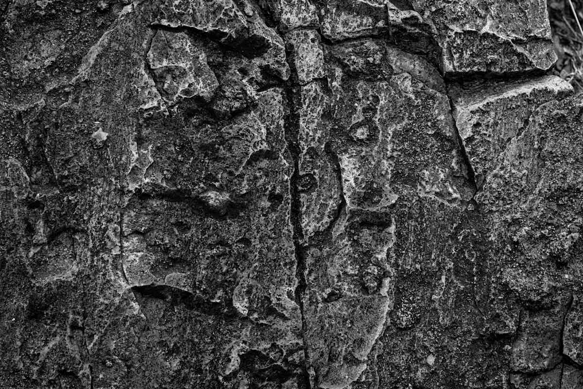 Untitled by Billy Moore 