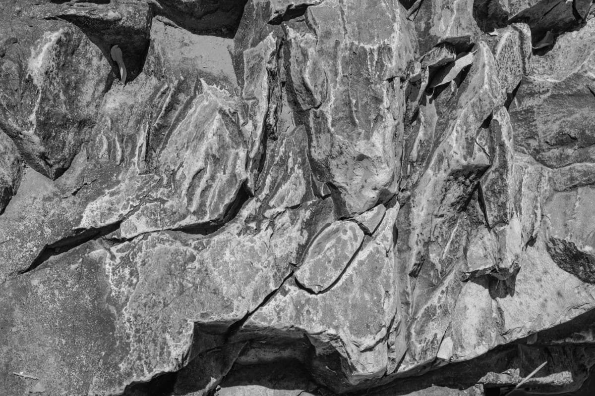 Untitled, Modesta Canyon by Billy Moore 