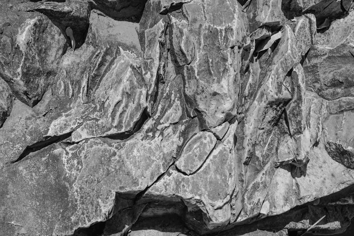 Untitled, Modesta Canyon by Billy Moore, Image 1.