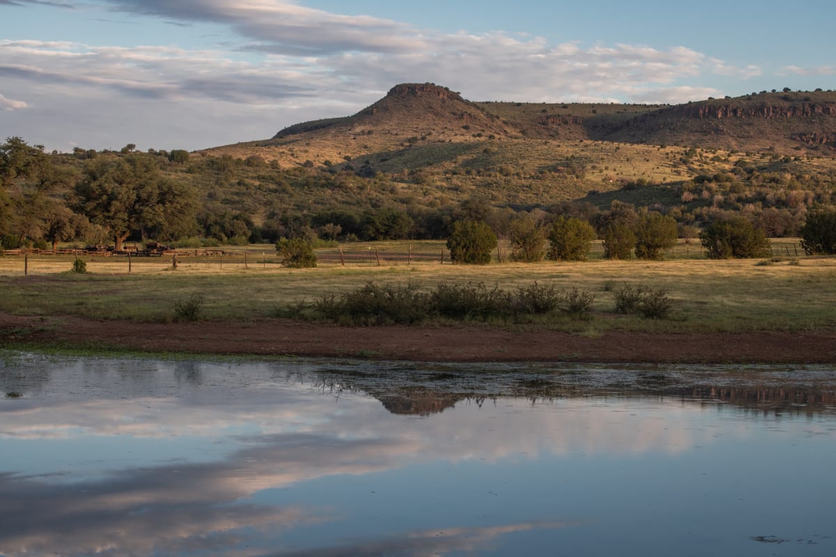 Prude Ranch Reflections by Billy Moore 