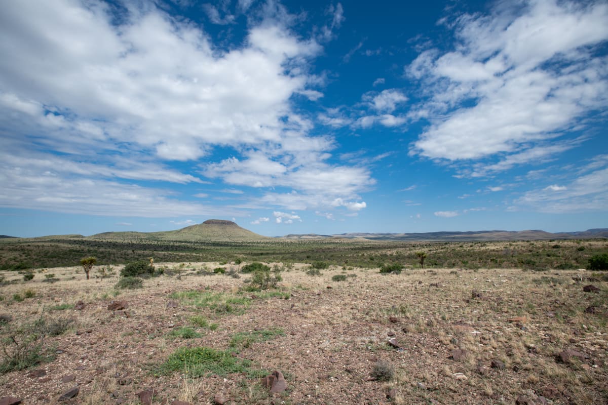 West Texas View by Billy Moore 