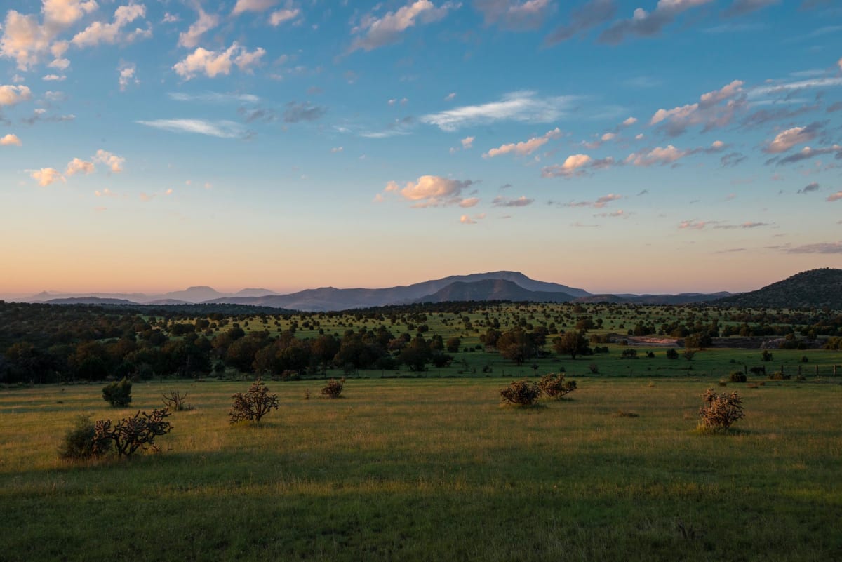 Early Landscape by Billy Moore 