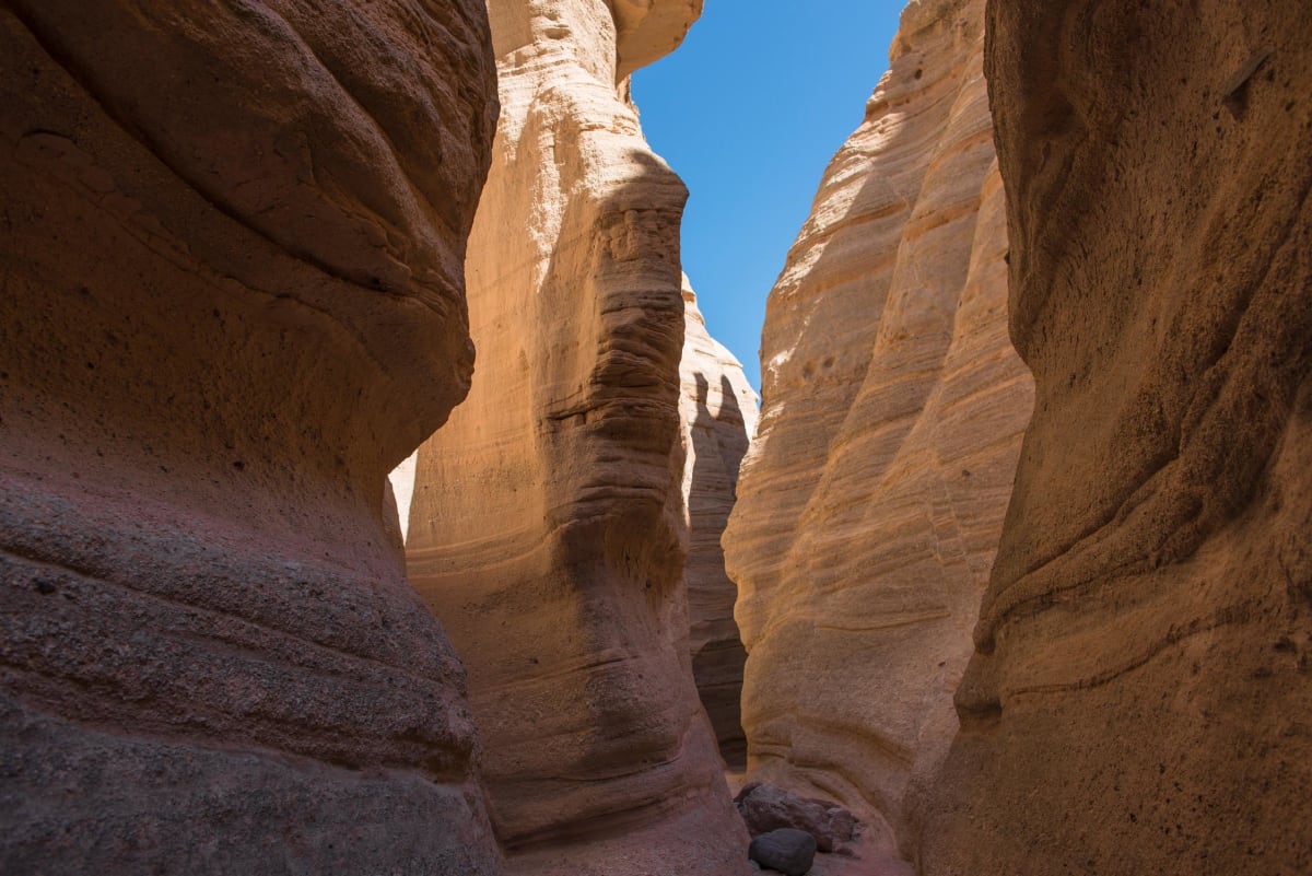 Forked Shadow by Billy Moore 