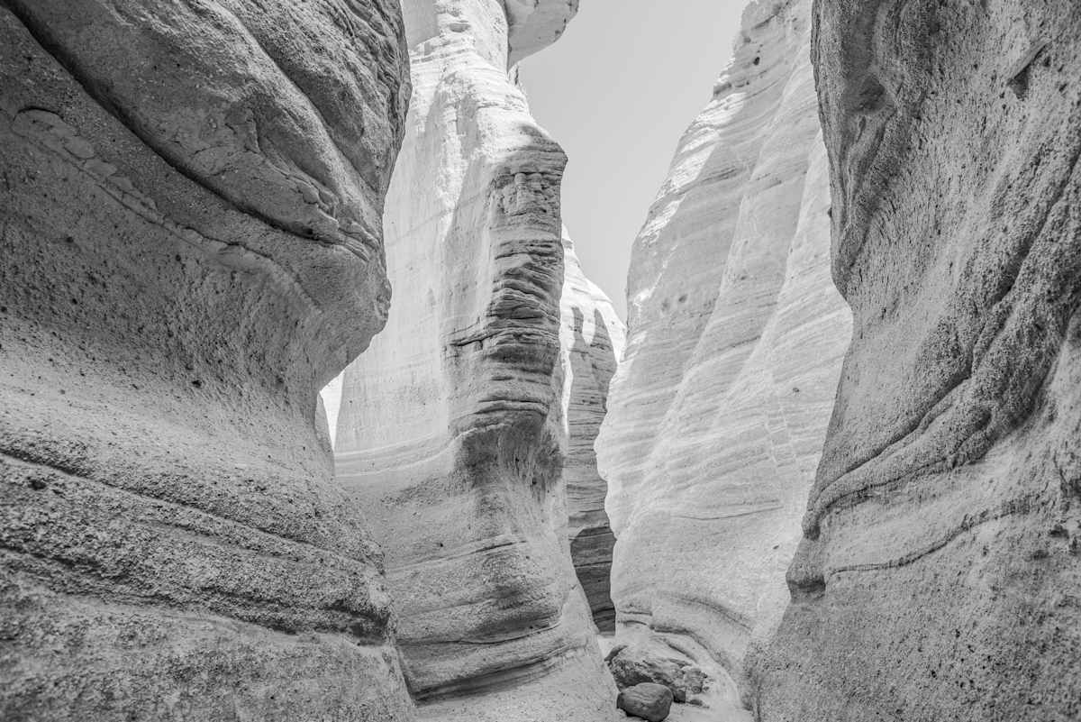 KK_G_Forked_Shadow_2979 by Billy Moore 