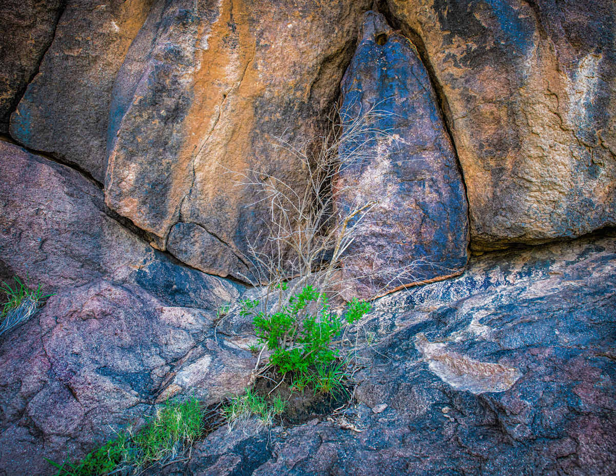 Untitled, Limpia Creek 7905 by Billy Moore 