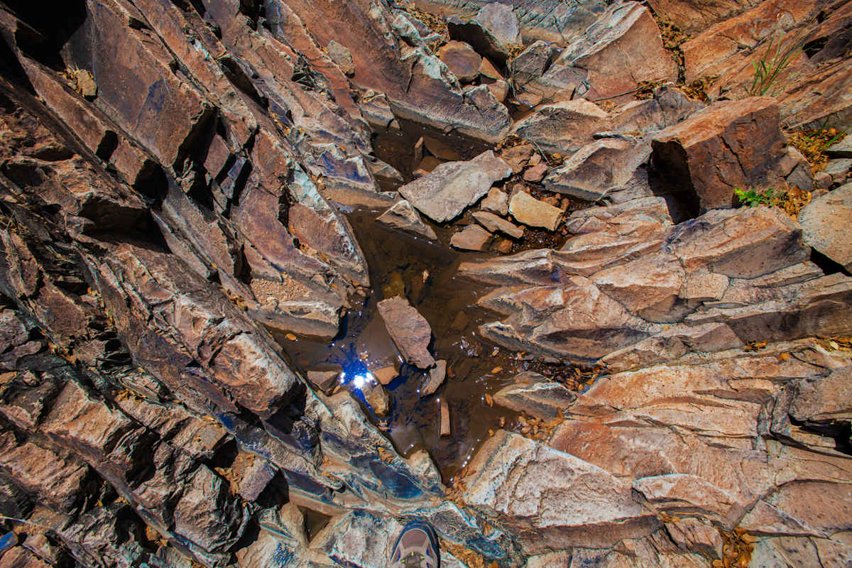 Untitled, Modesta Canyon by Billy Moore 