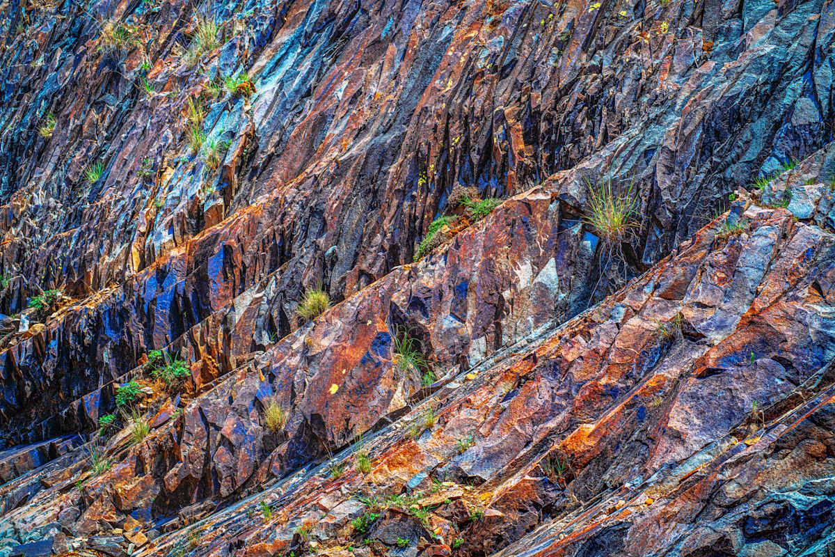 Untitled, Modesta Canyon by Billy Moore 