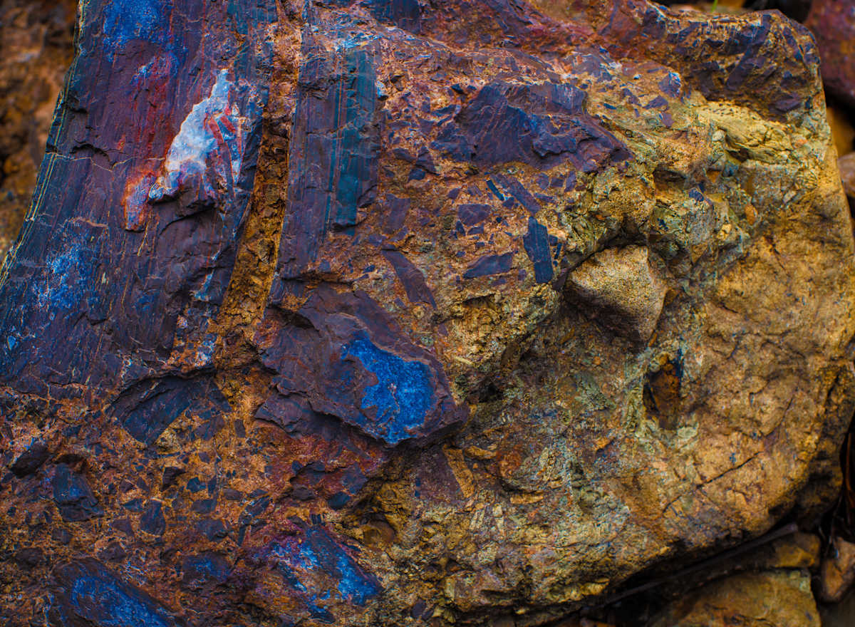 Untitled, Modesta Canyon 9823 by Billy Moore, Image 12.