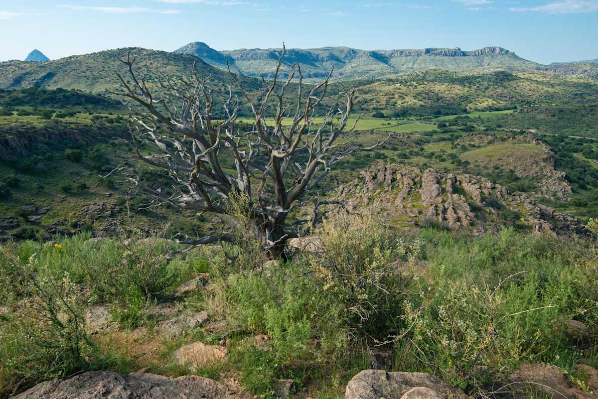 WTC_CDRI View 1 by Billy Moore 