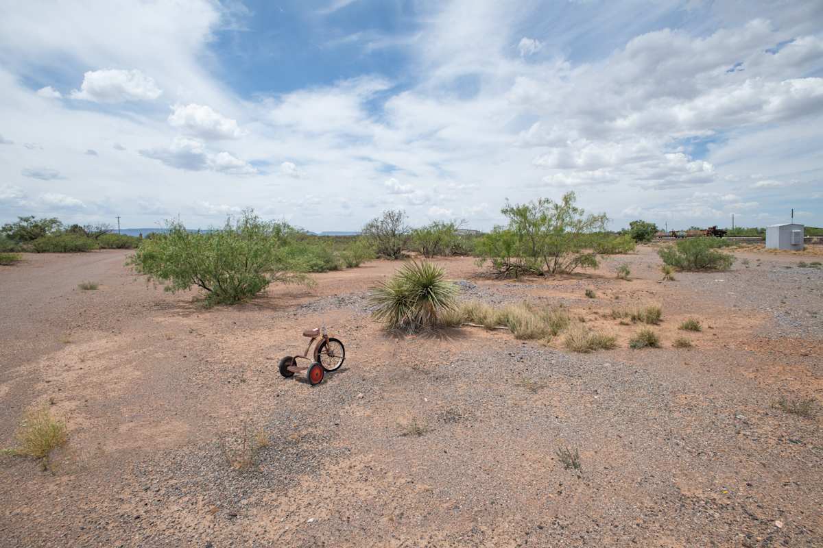 WTC_Valentine tricycle_8017 by Billy Moore 