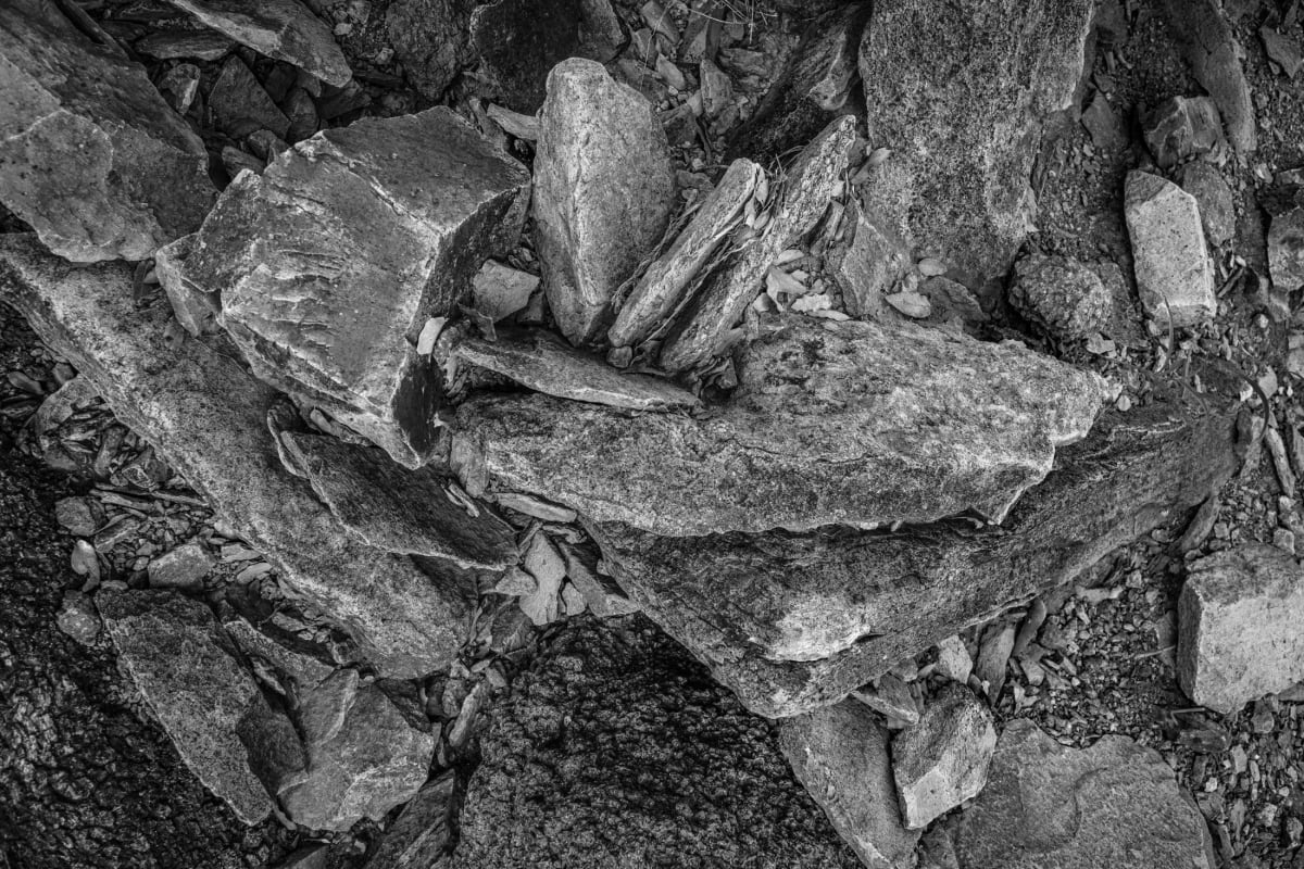 Untitled, Modesta Canyon by Billy Moore 