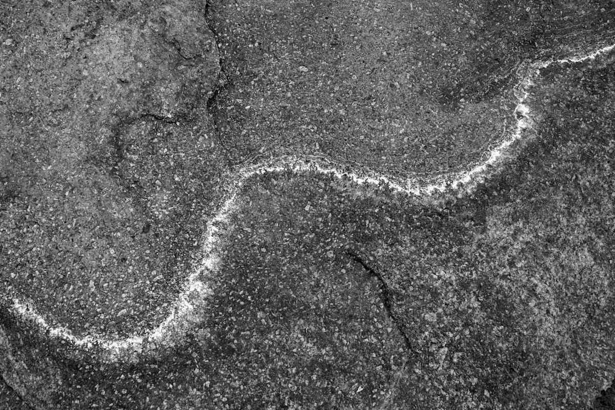 Untitled, Limpia Creek by Billy Moore 