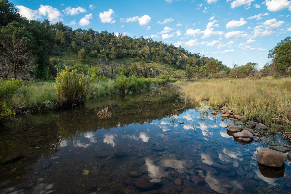 Madera Creek Reflections by Billy Moore 