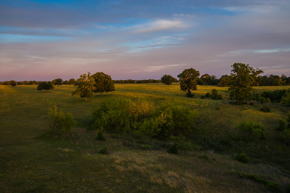 Twilight Landscape, Bastrop County by Billy Moore 