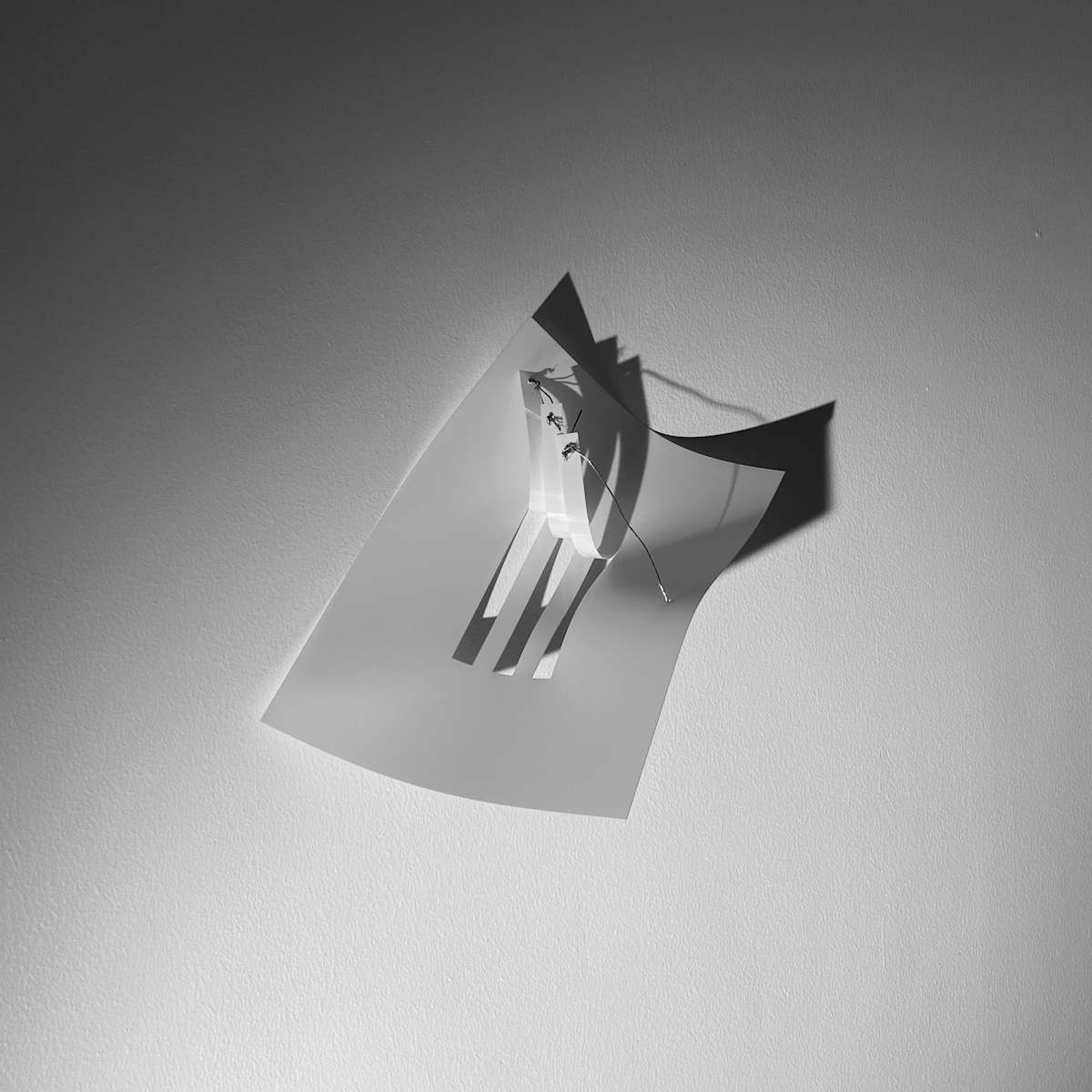 PCS2013-08 Small Polycarbonates by Madelin Coit  Image: Full image